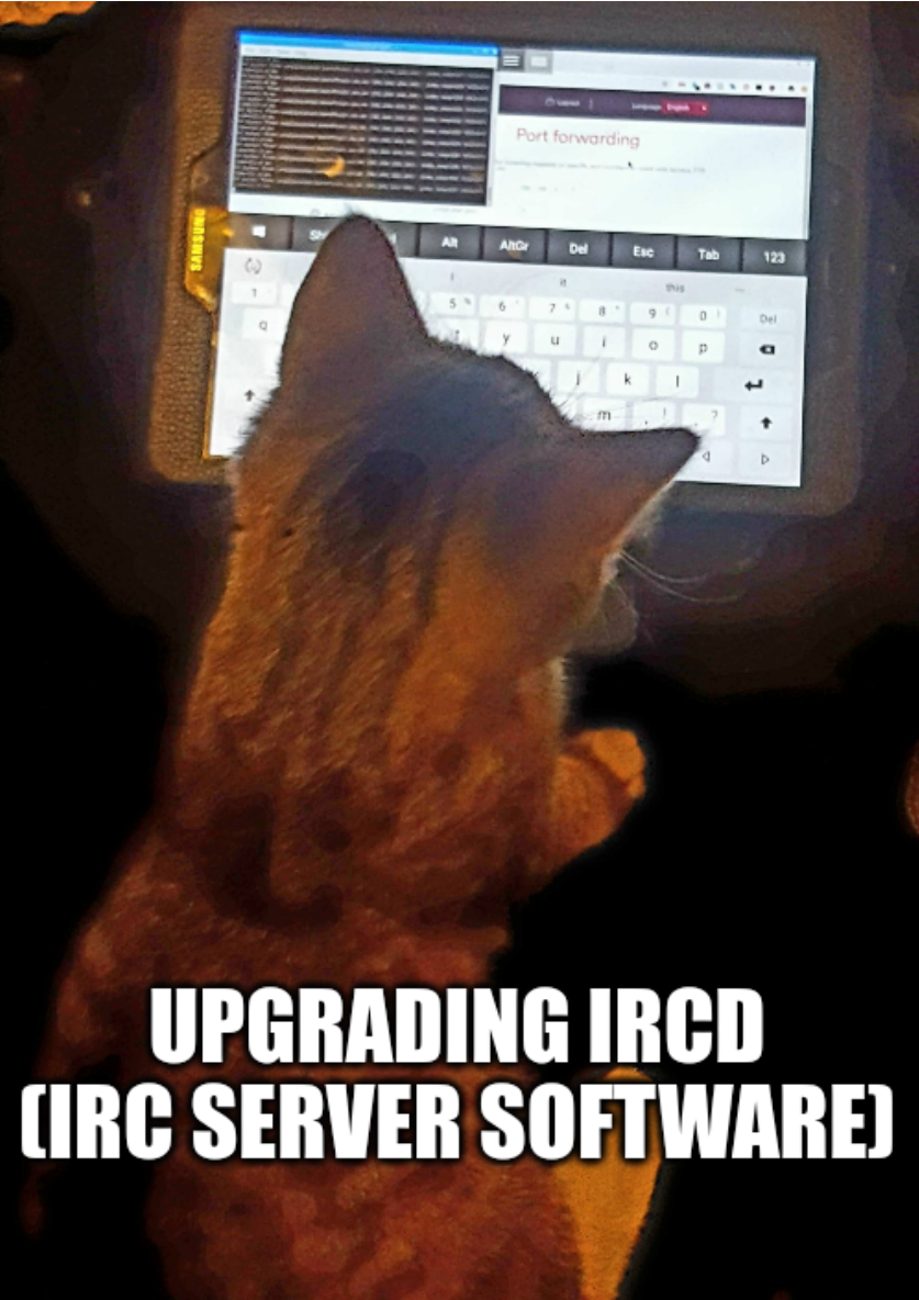 Cat with tablet router settings and Linux command; Upgrading IRCd (IRC server software)